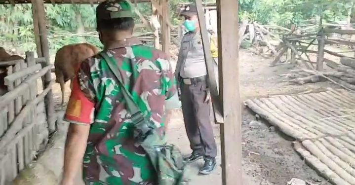 Polres Nganjuk Apresiasi Sinergi dalam Penanganan PMK di Desa Senggowar