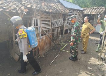 Cegah Penyebaran Virus PMK di Ngawi, Bhabinkamtibmas Gerih Lakukan Penyemprotan