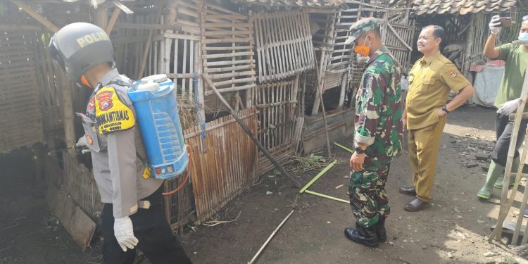 Cegah Penyebaran Virus PMK di Ngawi, Bhabinkamtibmas Gerih Lakukan Penyemprotan