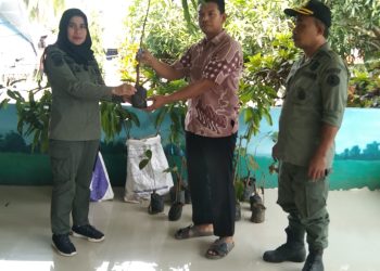 Polisi Kehutanan Jeneponto Serahkan Bantuan Bibit Mangga Di Kantor Desa Bulusuka