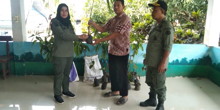 Polisi Kehutanan Jeneponto Serahkan Bantuan Bibit Mangga Di Kantor Desa Bulusuka