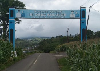 Kades Bululoe Bangun Pintu Gerbang Batas Desa