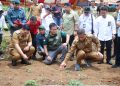 Tingkatkan Produktivitas Lahan, Pj. Gubernur Sulsel bersama Pj. Bupati Takalar lakukan Penanaman Serentak Agroforestri Pangan