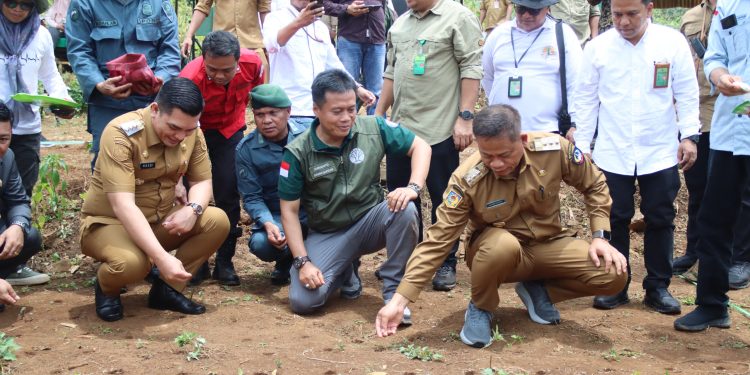 Tingkatkan Produktivitas Lahan, Pj. Gubernur Sulsel bersama Pj. Bupati Takalar lakukan Penanaman Serentak Agroforestri Pangan