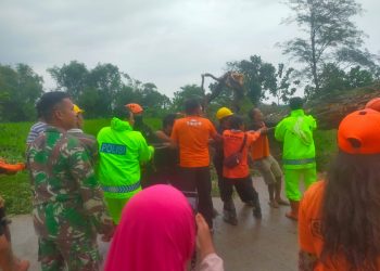 Sinergitas TNI Polri Gotong Royong Evakuasi Pohon Tumbang di Ngawi
