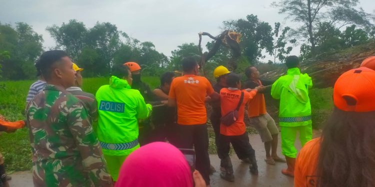Sinergitas TNI Polri Gotong Royong Evakuasi Pohon Tumbang di Ngawi