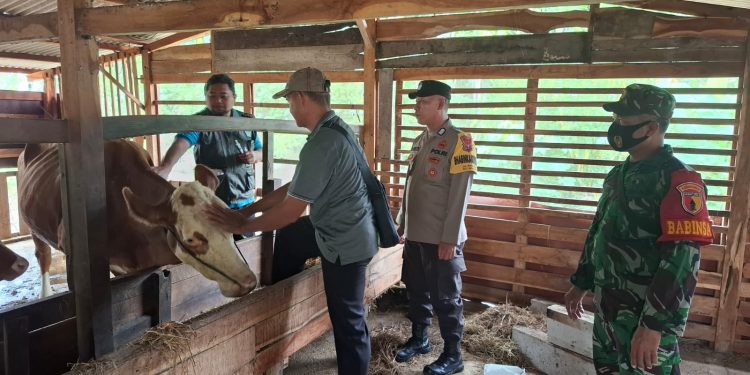 Polres Ngawi Dampingi Vaksinasi Ternak Sapi untuk Cegah PMK di Widodaren