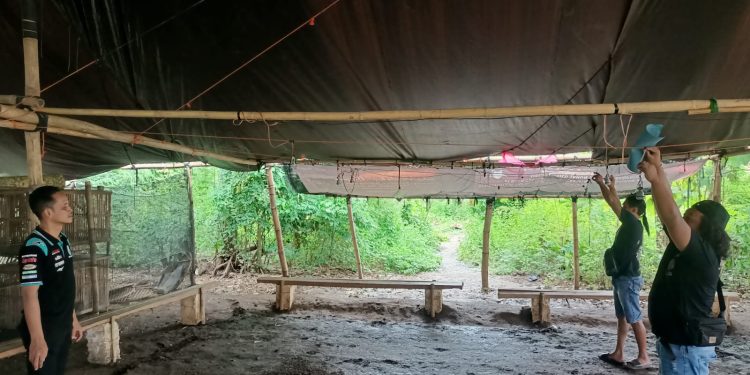 Polres Nganjuk Tindaklanjuti Laporan Sabung Ayam di Sugihwaras