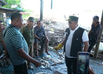 Pastikan Harga Ikan, Sarana dan Prasarana, Bupati Takalar Tinjau Pelelangan Ikan Tradisional Lamangkia