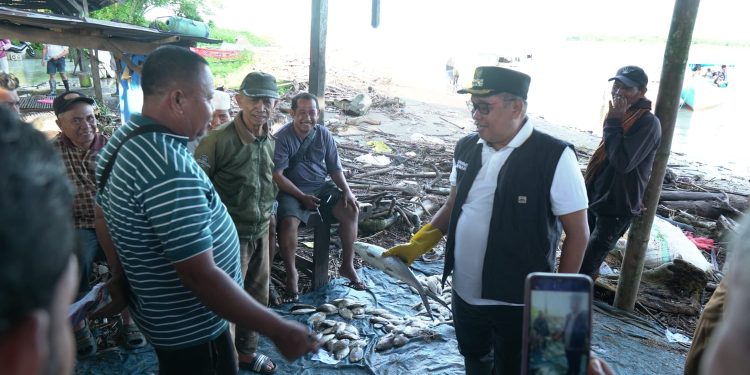 Pastikan Harga Ikan, Sarana dan Prasarana, Bupati Takalar Tinjau Pelelangan Ikan Tradisional Lamangkia