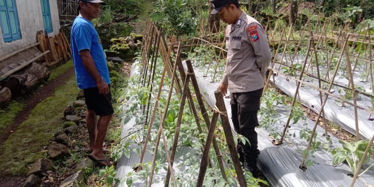 Dukung Swasembada Pangan di Ngawi, Polsek Sine Gelar Patroli P2B