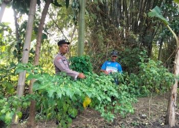 Polsek Kwadungan Laksanakan Patroli Program P2B untuk Ketahanan Pangan