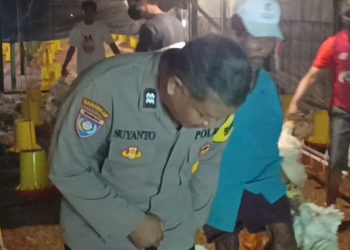 Bhabinkamtibmas Wates Pantau Hewan Ternak untuk Dukung Ketahanan Pangan