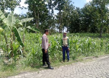 Bhabinkamtibmas Desa Karanganyar Patroli Dukung Program Ketahanan Pangan
