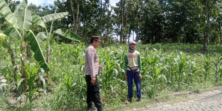 Bhabinkamtibmas Desa Karanganyar Patroli Dukung Program Ketahanan Pangan