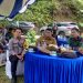 Dukung Ketahanan Pangan, Wakapolres Toraja Utara Hadiri Panen Raya Padi Serentak Bersama Forkopimda