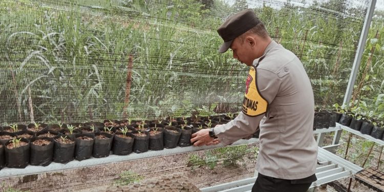 Polsek Karanganyar Dukung Program Ketahanan Pangan Melalui Bhabinkamtibmas