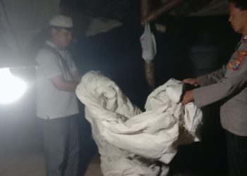 Polisi Bongkar Lokasi Diduga Judi Sabung Ayam di Ngronggot