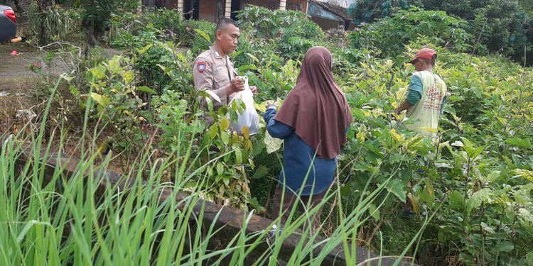 Dukung Ketahanan Pangan, Bhabinkamtibmas Polsek Baron Pantau Lahan Pekarangan Warga