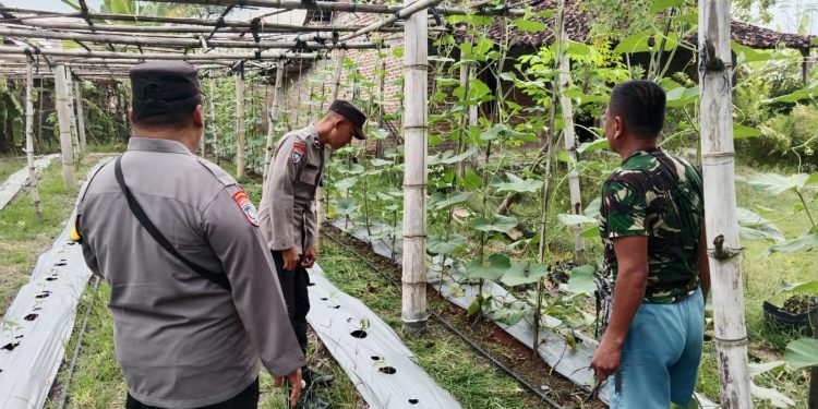 Polsubsektor Gerih Laksanakan Patroli P2B Dukung Program Ketahanan Pangan