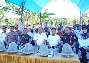 Bupati Jeneponto Hadiri Gerakan Tanam Padi Serentak 14 Provinsi Bersama Presiden RI via Zoom*