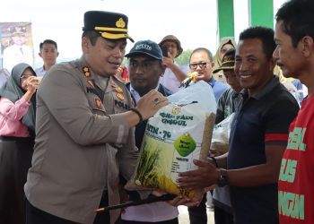 Nganjuk Dukung Swasembada Pangan Lewat Gerakan Tanam Padi Serentak