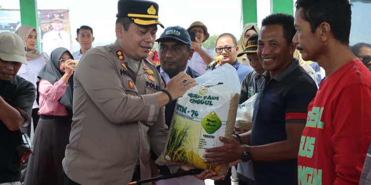 Nganjuk Dukung Swasembada Pangan Lewat Gerakan Tanam Padi Serentak