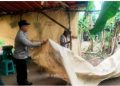 Polsek Ngronggot Bongkar Lokasi Diduga Perjudian Sabung Ayam