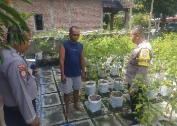 Polsek Ngetos Dukung Ketahanan Pangan, Pantau Pekarangan Sayur Warga