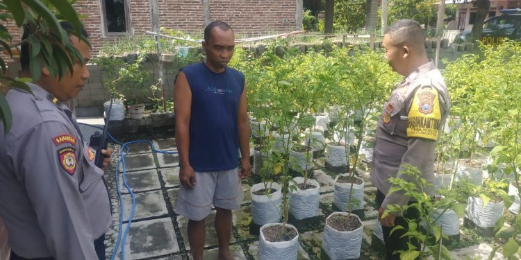 Polsek Ngetos Dukung Ketahanan Pangan, Pantau Pekarangan Sayur Warga