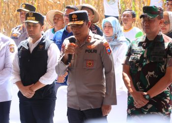 Dukung Swasembada Pangan, Kapolda Jatim Bersama Forkopimda Panen Raya Jagung Kuartal II di Ngawi