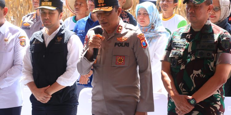 Dukung Swasembada Pangan, Kapolda Jatim Bersama Forkopimda Panen Raya Jagung Kuartal II di Ngawi
