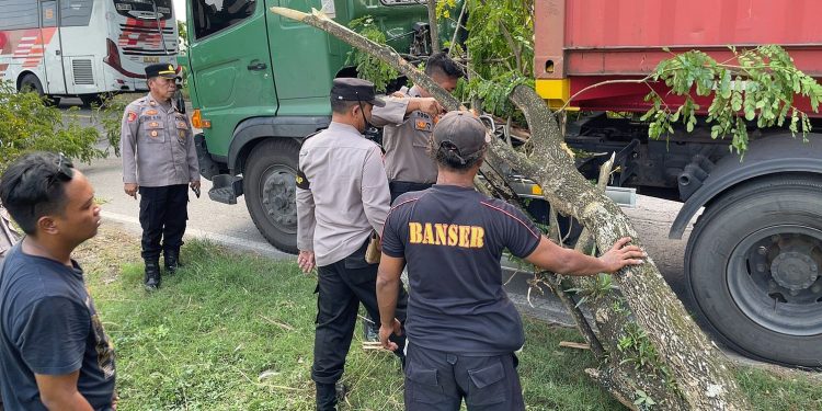 Polres Ngawi Sigap Evakuasi Pohon Tumbang di Jalan Sukarno Hatta