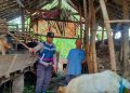 Kapolres Nganjuk Apresiasi Warga yang Produktifkan Lahan Pekarangan untuk Ternak Kambing