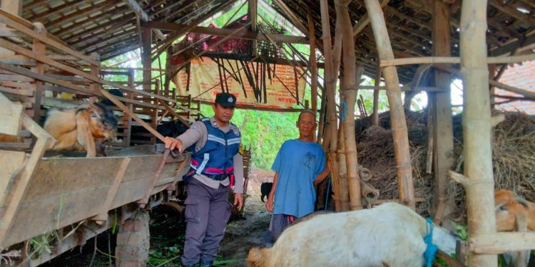 Kapolres Nganjuk Apresiasi Warga yang Produktifkan Lahan Pekarangan untuk Ternak Kambing