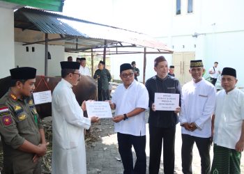 Takalar Terpilih Sebagai Penerima Bantuan Sapi Kurban Presiden: Momen Bersejarah untuk Masyarakat Takalar