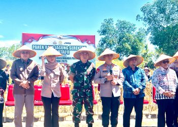 Wakil Bupati Takalar bersama Dua Jendral Bintang Dua Ikut Panen Raya Jagung Serentak bersama Presiden Prabowo Secara Virtual