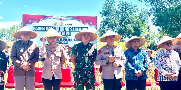 Wakil Bupati Takalar bersama Dua Jendral Bintang Dua Ikut Panen Raya Jagung Serentak bersama Presiden Prabowo Secara Virtual
