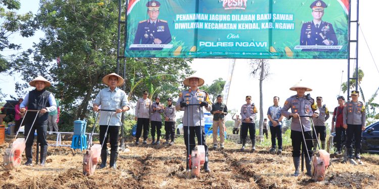 Dukung Ketahanan Pangan, Polres Ngawi Tanam Jagung di Lahan Baku Sawah Kendal