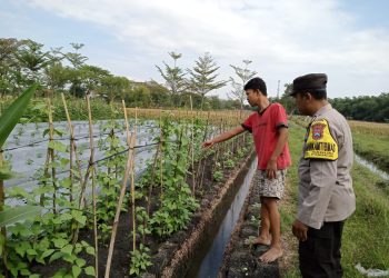 Polsek Jajaran Polres Ngawi Gelar Program P2B, Dukung Ketahanan Pangan
