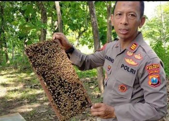 Langkah Nyata Dukung Ketahanan Pangan di Ngawi, AKP Karno Budidaya Madu