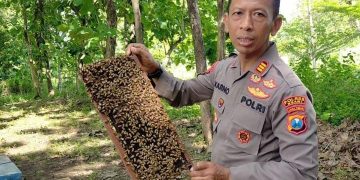 Langkah Nyata Dukung Ketahanan Pangan di Ngawi, AKP Karno Budidaya Madu