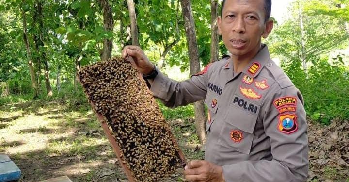 Langkah Nyata Dukung Ketahanan Pangan di Ngawi, AKP Karno Budidaya Madu