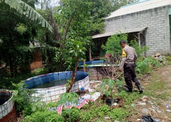 Bhabinkamtibmas Berbek Dorong Budidaya Lele dan Nila di Pekarangan Rumah