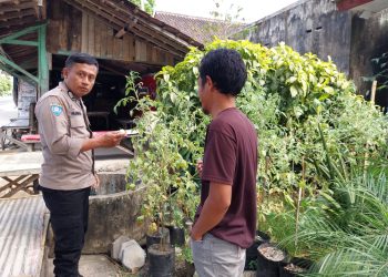 Bhabinkamtibmas Desa Brubuh Patroli P2B, Dukung Ketahanan Pangan di Ngawi