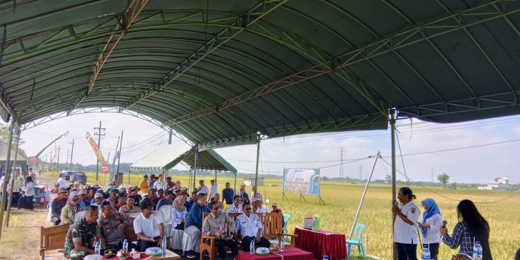 Dukung Swasembada Pangan, Polisi Ngawi Hadiri Panen Padi di Desa Dempel