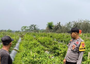 Polisi Ngawi Gelar Patroli P2B di Sine, Dukung Ketahanan Pangan Nasional