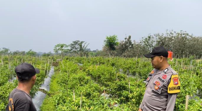 Polisi Ngawi Gelar Patroli P2B di Sine, Dukung Ketahanan Pangan Nasional