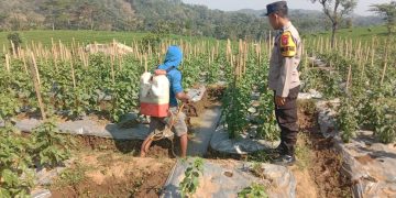 Bhabinkamtibmas Desa Kuniran Dorong Warga Sukseskan Program Ketahanan Pangan