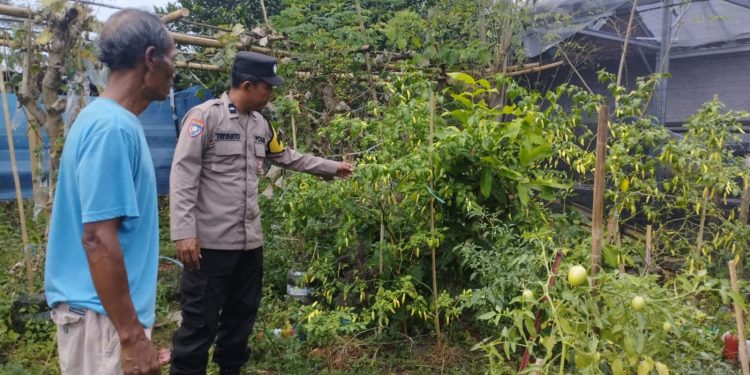 Bhabinkamtibmas Desa Krandegan Dan Manisharjo Patroli Pangan Bergizi Di Ngrambe